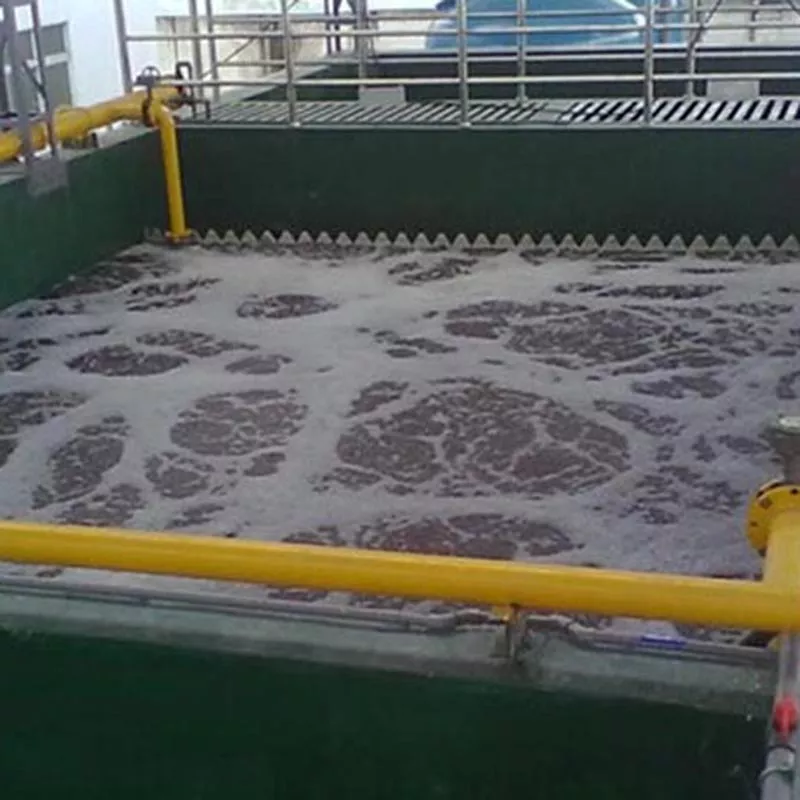 废水厂污水处理